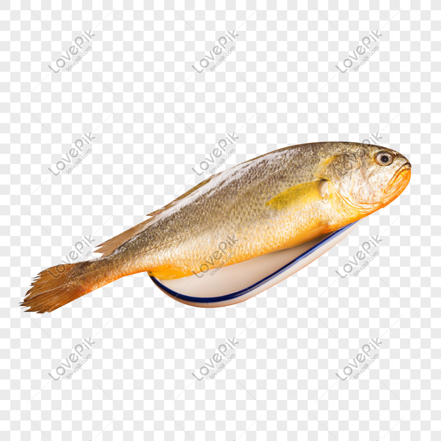 Свежая Рыба Фото