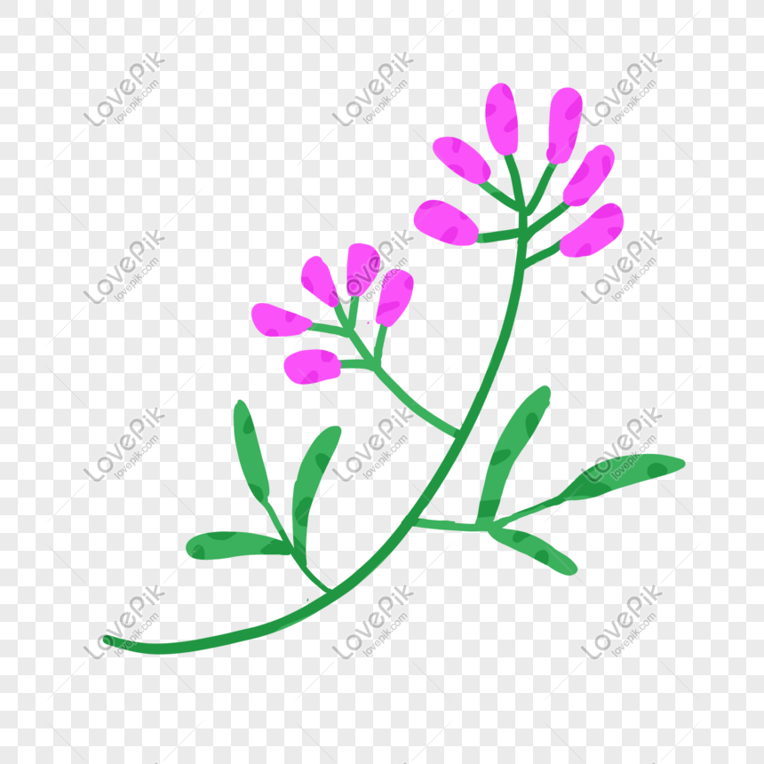 Desenho De Mão Bonita Dos Desenhos Animados Desenhando Flores PNG