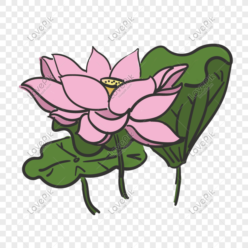 Summer Lotus Decoration PNG Hd Transparent Image And Clipart Image For ...