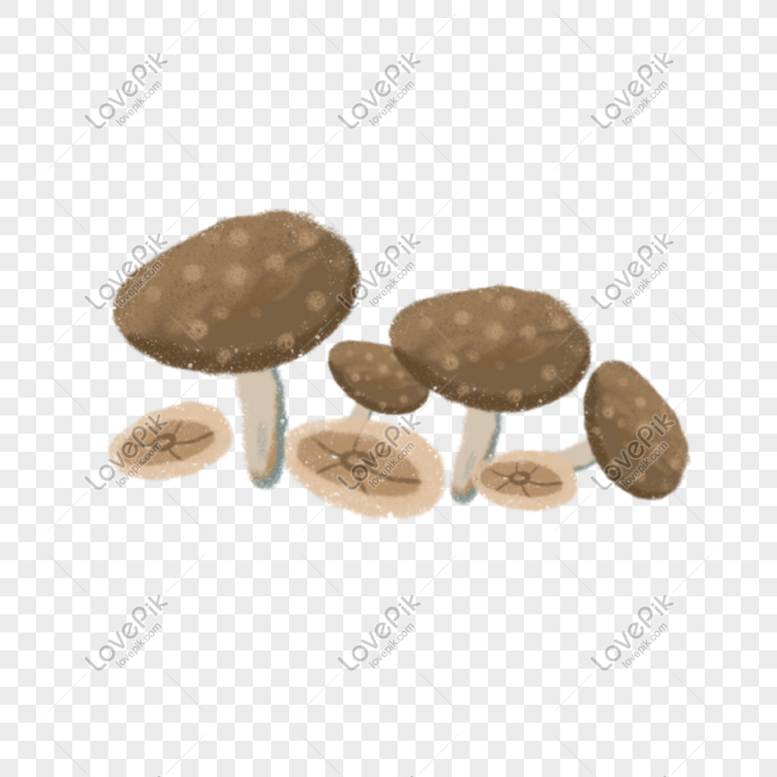 Wild Mushroom PNG Transparent And Clipart Image For Free Download ...