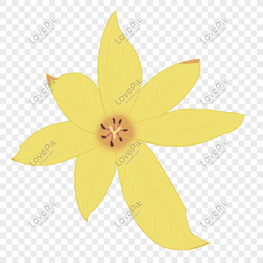 Yellow Flower PNG Image And Clipart Image For Free Download - Lovepik ...