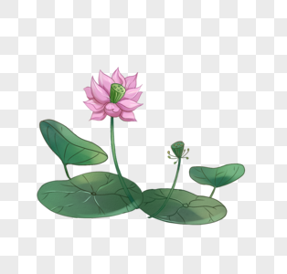 Terkeren 19 Gambar Bunga Lotus Kartun  Gambar  Bunga  Indah