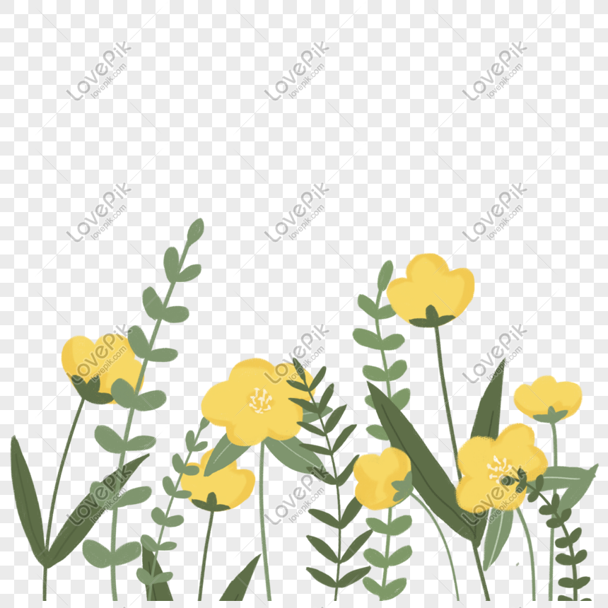 Flores Amarillas PNG Imágenes Gratis - Lovepik