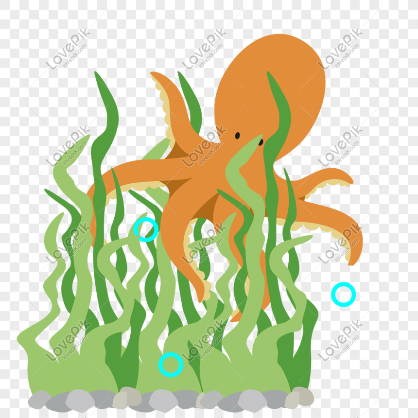 Download Hand Painted Yellow Octopus And Green Seaweed Png Image Picture Free Download 401179247 Lovepik Com Yellowimages Mockups
