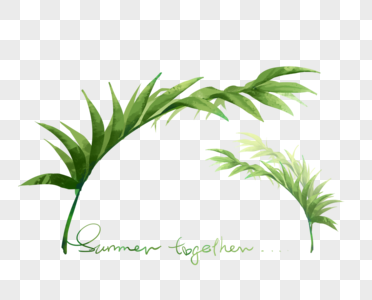 coconut leaf png image picture free download 400549760 lovepik com coconut leaf png image picture free