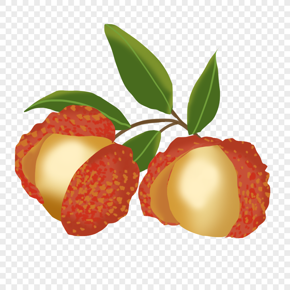 Lychee Gourmet Fruit PNG Image and PSD File For Free Download - Lovepik ...