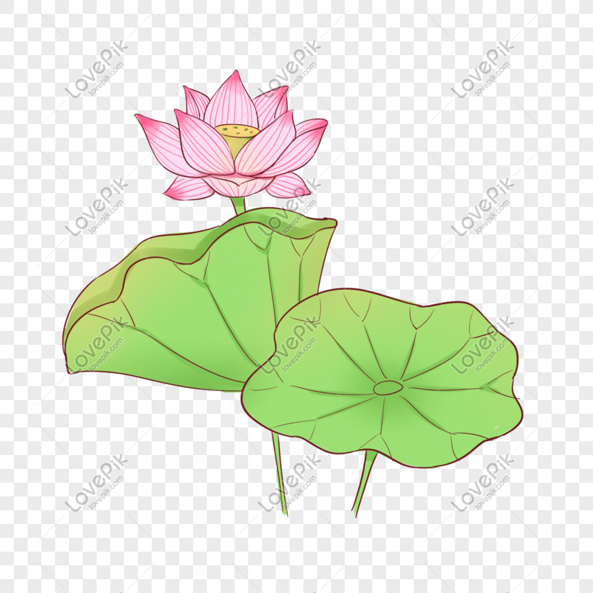 新鮮な中華風の蓮の花のイラストイメージ グラフィックス Id Prf画像フォーマットpsd Jp Lovepik Com