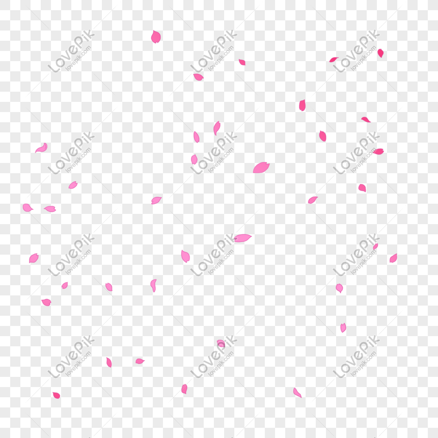 Pink Cherry Blossom Falling Element PNG Hd Transparent Image And ...