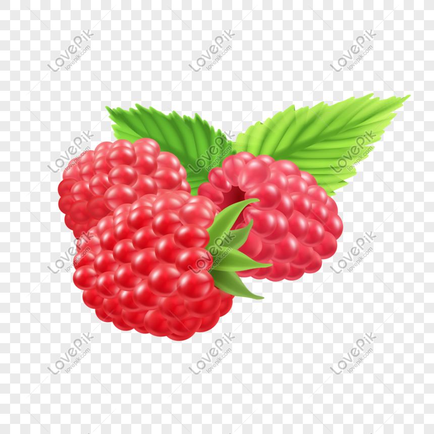 Vector Raspberry PNG Image & PSD File Free Download - Lovepik | 401196107