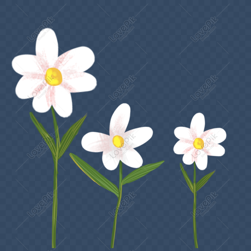 夏の植物の白い花イメージ グラフィックス Id Prf画像フォーマットpsd Jp Lovepik Com