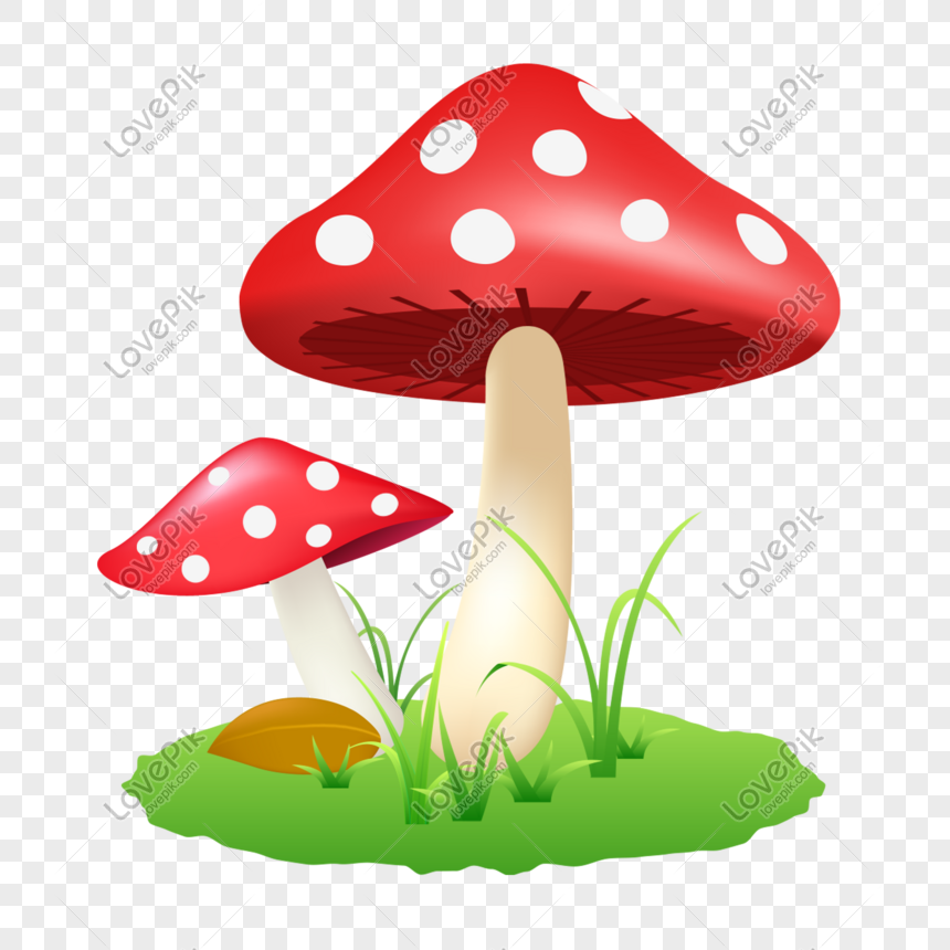 Cute Mushroom PNG, Vector, PSD, and Clipart With Transparent Background for  Free Download