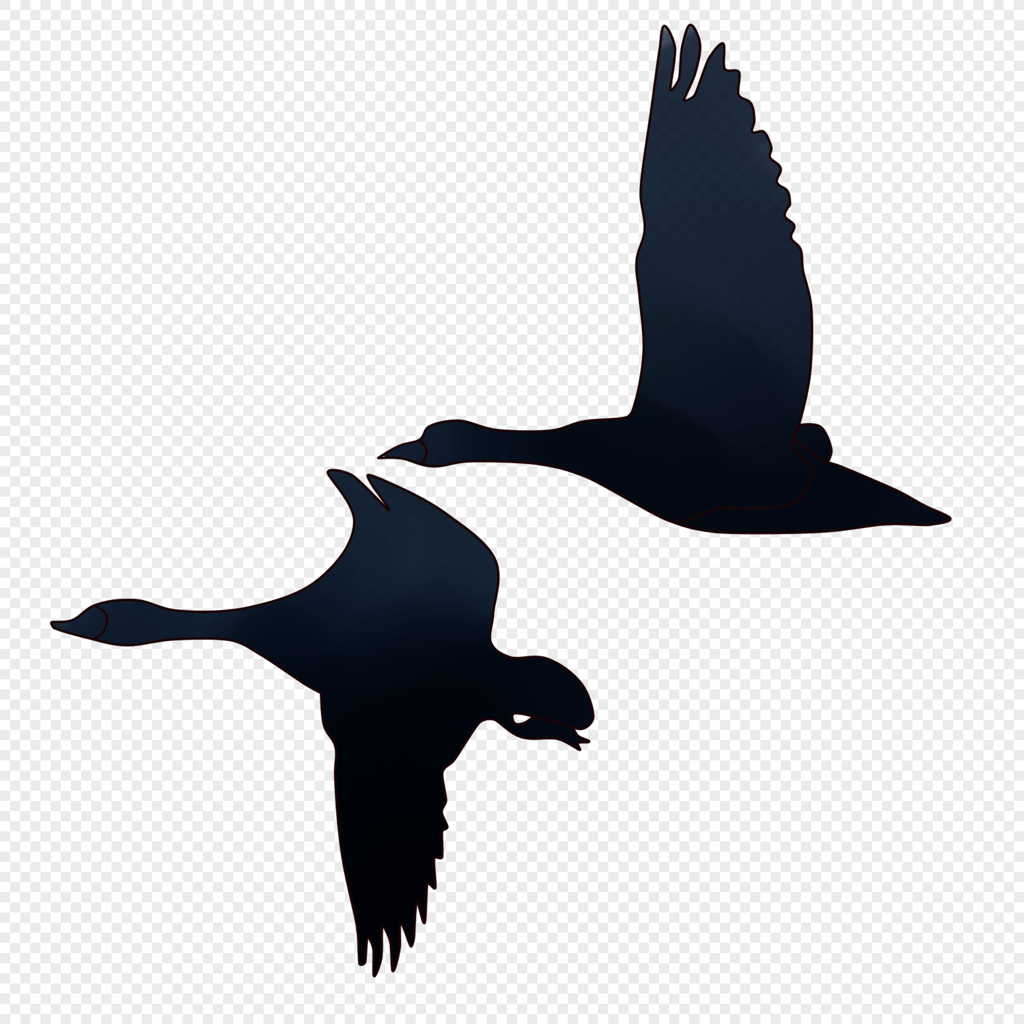 Flying Birds, Flying, Bird Silhouette, Sky PNG Transparent Background ...