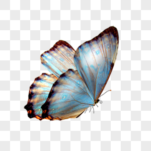 Glowing Butterfly PNG Images With Transparent Background | Free Download On  Lovepik