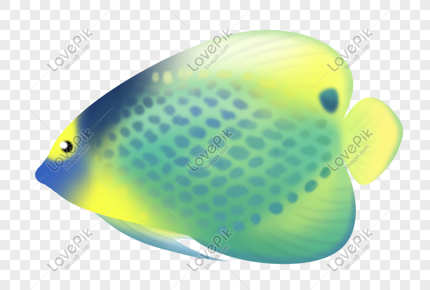 Peces Tropicales De Color Verde Amarillo Imagenes De Graficos Png Gratis Lovepik