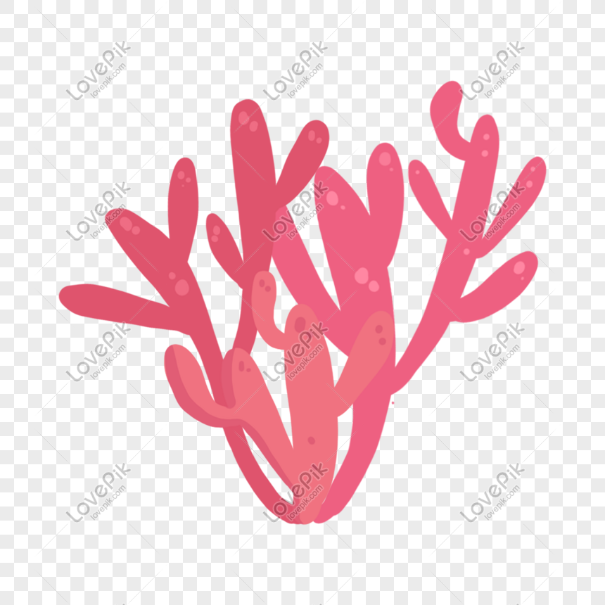  Descargar Material De Coral Elemento De Dibujos Animados PNG Imágenes Gratis