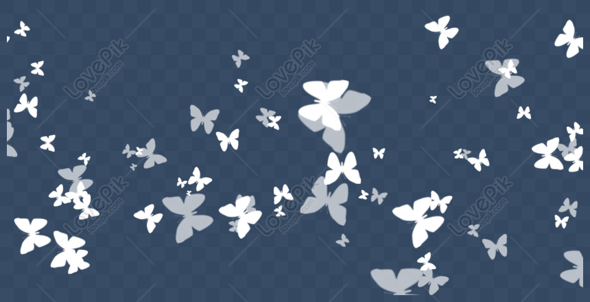 Featured image of post Effect Light Png Hd Butterfly - 172 free videos of light effects.