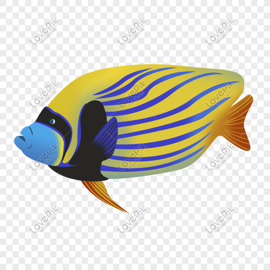 Peces Marinos De Colores Imagenes De Graficos Png Gratis Lovepik