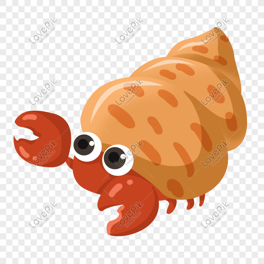 Hand Drawn Cute Hermit Crab Png Image Psd File Free Download Lovepik 401254059