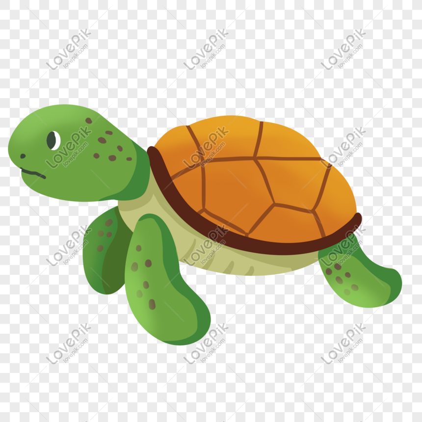 Hand Drawn Cartoon Sea Turtle PNG Free Download And Clipart Image For Free  Download - Lovepik | 401258073
