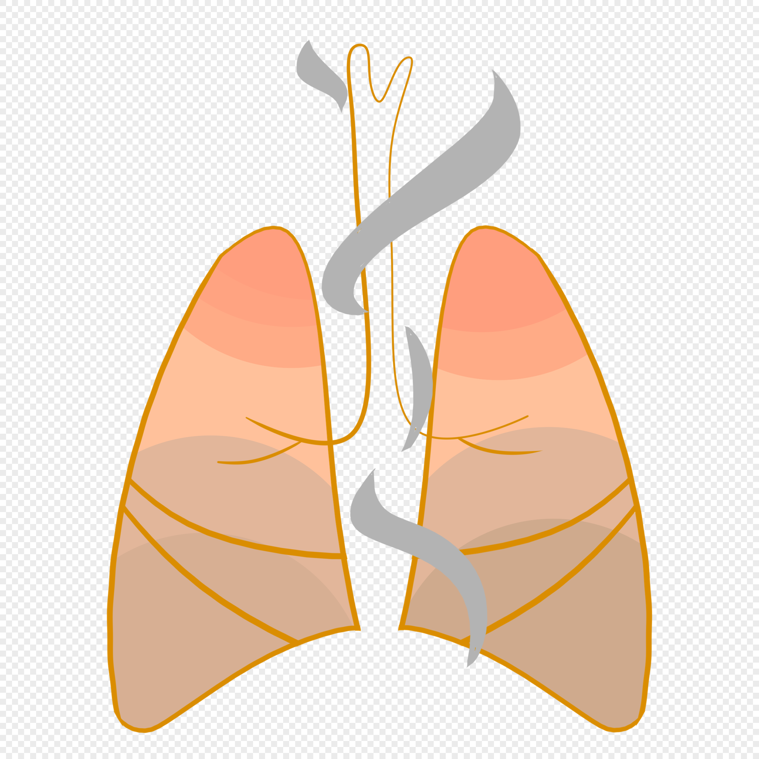 Smoking Lungs PNG Images With Transparent Background | Free Download On  Lovepik