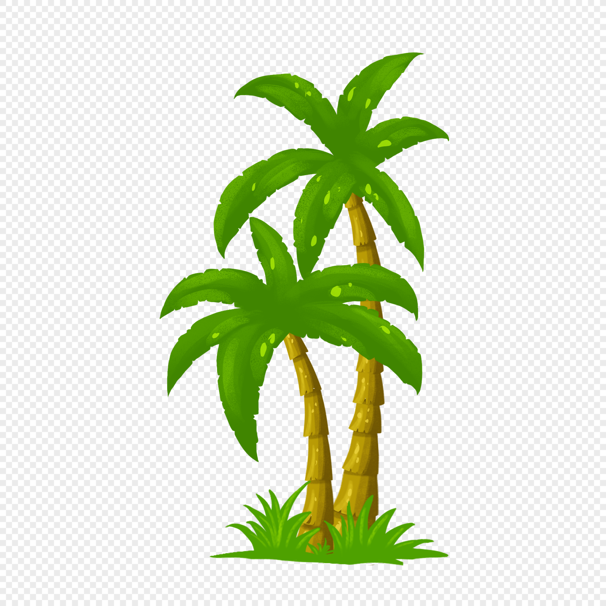 pohon kelapa kartun yang digambar tangan PNG grafik gambar 