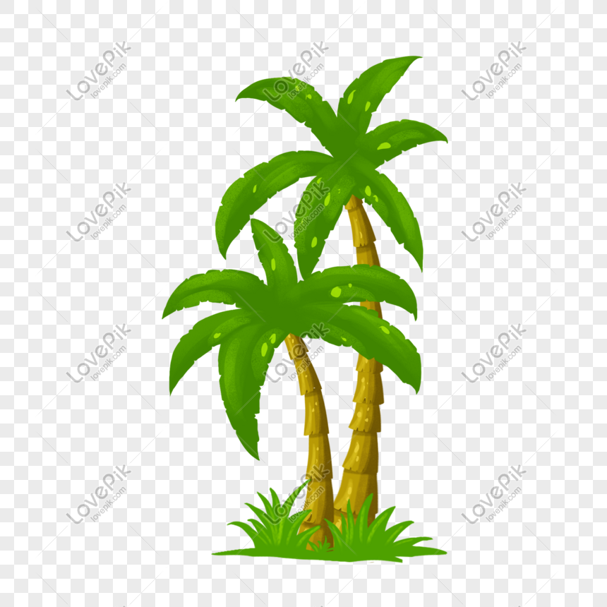  pohon  kelapa  kartun  yang digambar tangan PNG grafik gambar  
