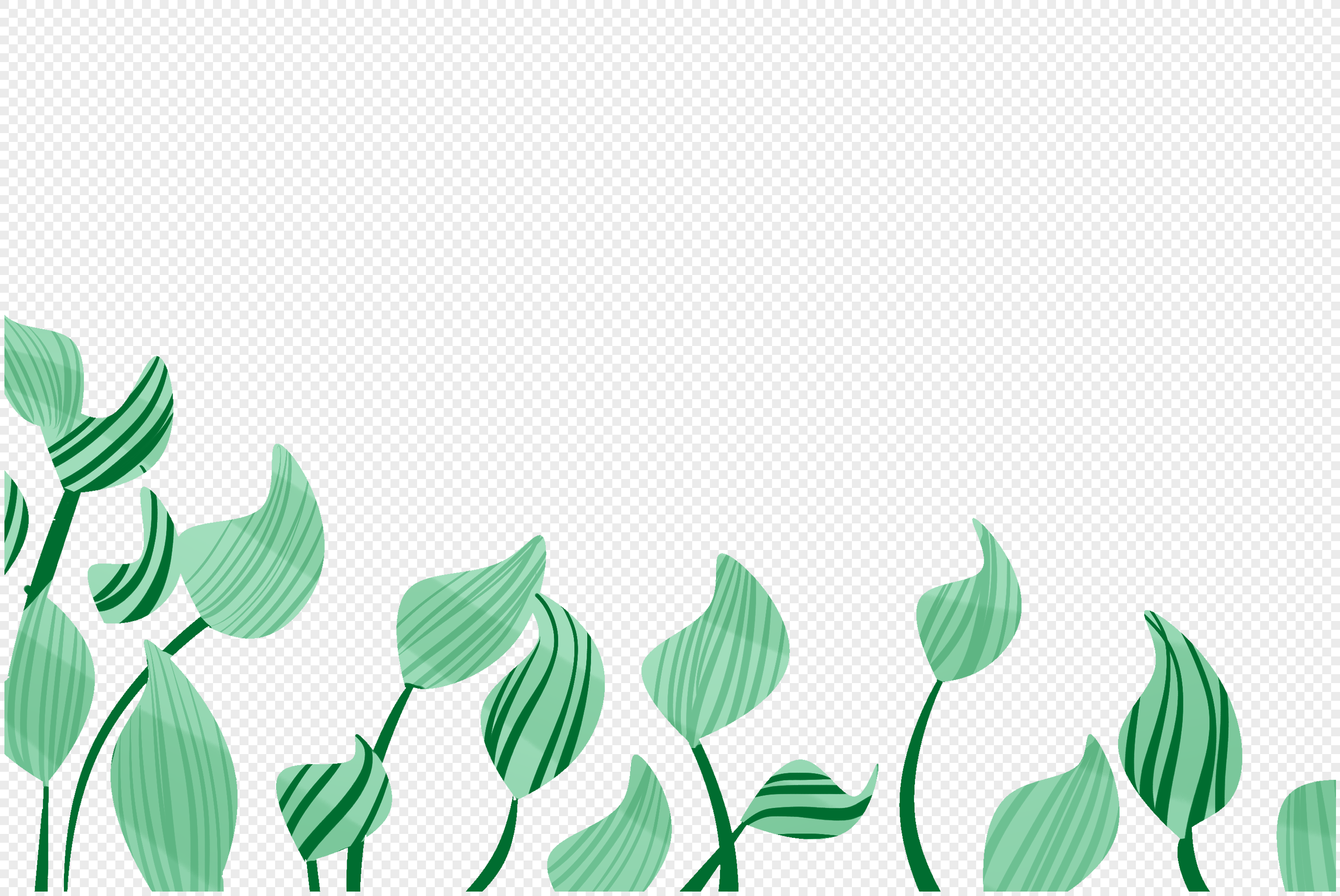 tea plant clipart