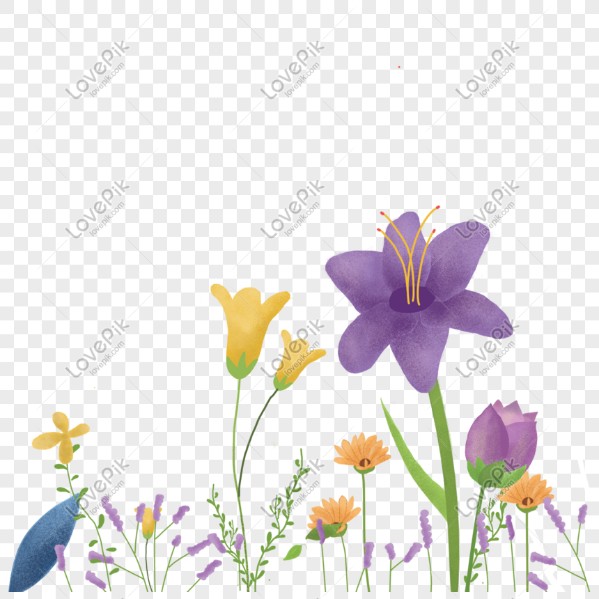 Dibujos Animados Dibujados A Mano Primavera Hermosas Flores Flor PNG  Imágenes Gratis - Lovepik