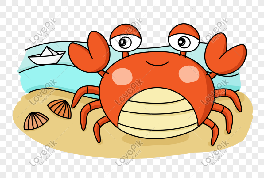 Fond Un Crabe Repose Sur Un éperon Rocheux Couvert Dalgues Vertes Au Bord  De La Mer Photo Et Image en Téléchargement Gratuit - Pngtree