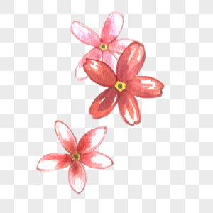 Small Flowers PNG Images With Transparent Background | Free Download On  Lovepik