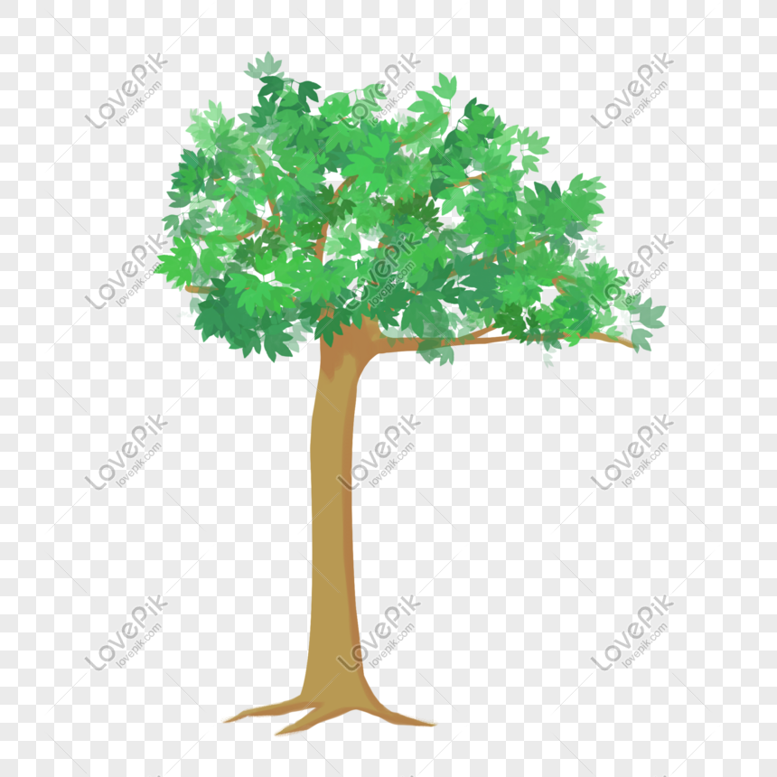 Big Tree Green Plant PNG Transparent Background And Clipart Image For ...