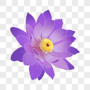 Flores Moradas PNG Imágenes con Fondo Transparente | Descarga Gratuita en  Lovepik.com