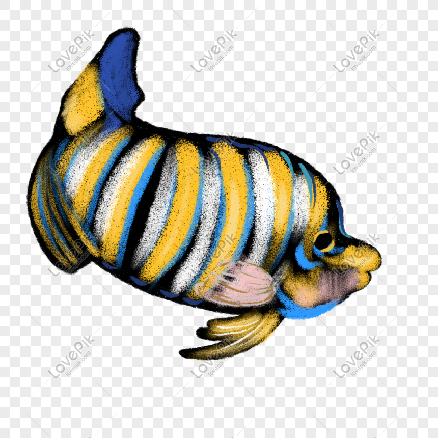 Dibujos Animados Coloridos Peces Rayados Imagenes De Graficos Png Gratis Lovepik