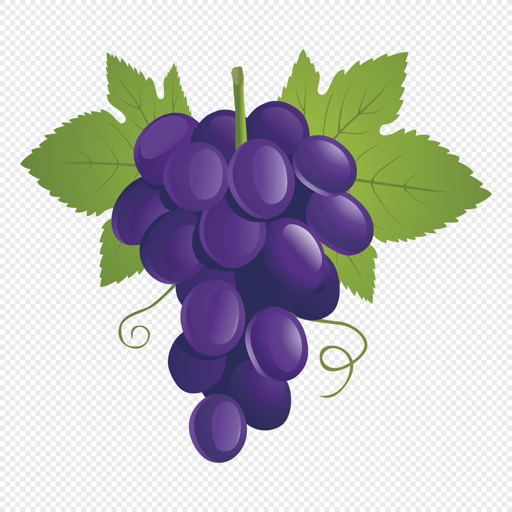 Виноград в coreldraw