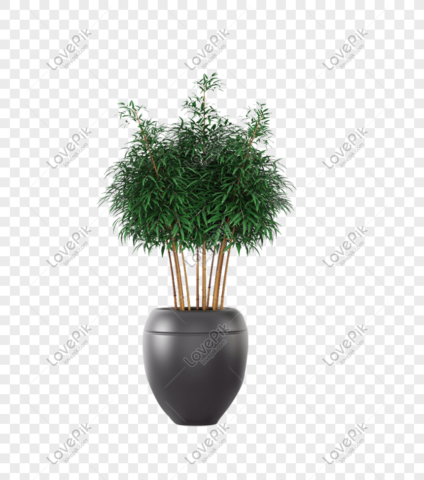 Download Plant Pot Png Image Picture Free Download 401306973 Lovepik Com PSD Mockup Templates