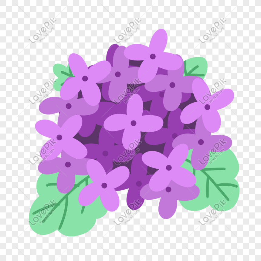 Ramo De Flores Lilas Png - Osoi Wallpaper