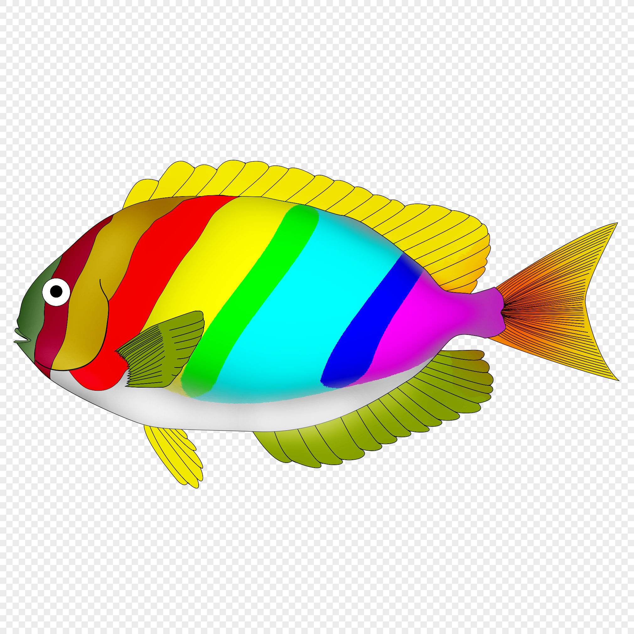 Colorful Images Of Fish