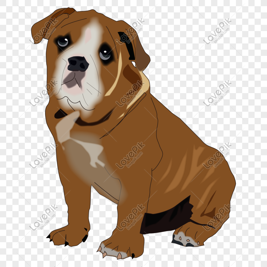 20+ Gambar anjing bulldog lucu download