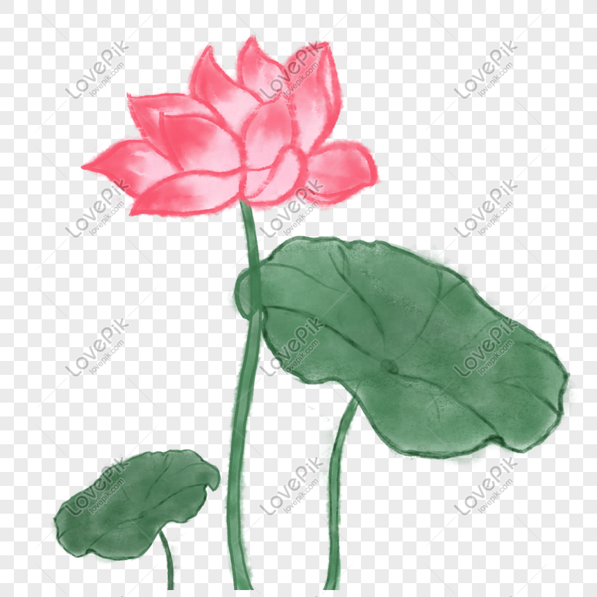 Hand Painted Watercolor Lotus PNG Picture And Clipart Image For ...