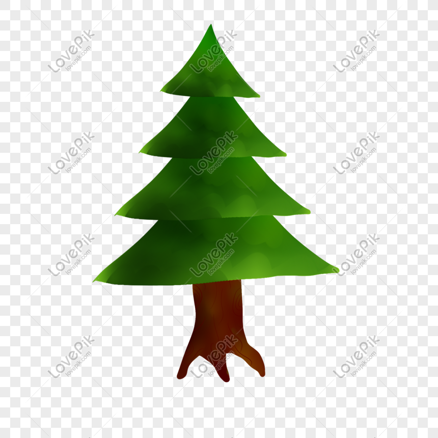  Gambar  Pohon  Pinus  Png