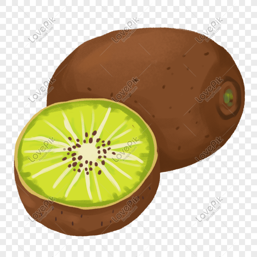 Gambar Buah Kiwi Kartun - Gambar Bagian Tumbuhan