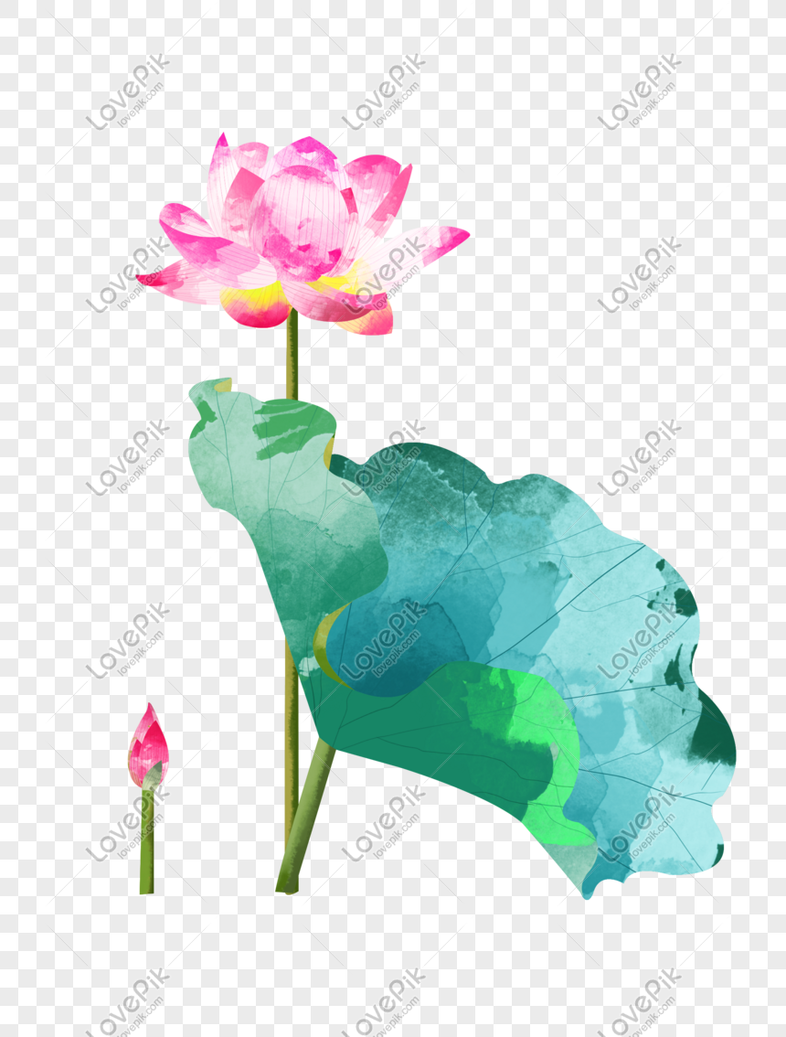 夏至ピンクの蓮咲くシングルピース蓮の葉水彩イラスト要素手描きイメージ グラフィックス Id Prf画像フォーマットpsd Jp Lovepik Com