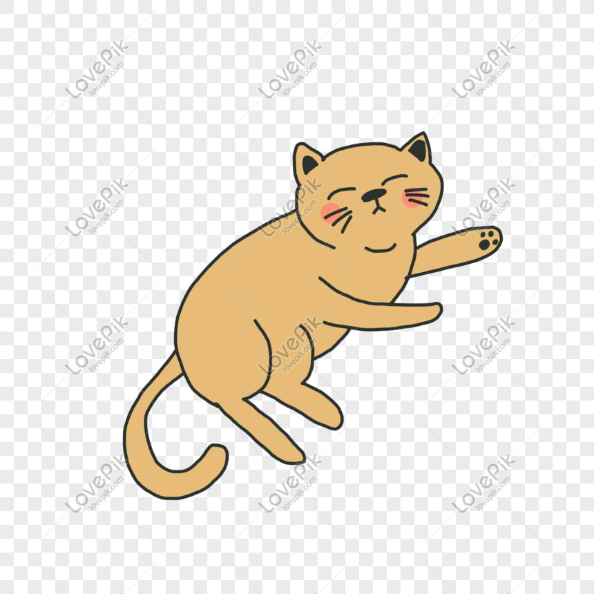 ảnh Mèo Lười PNG, mèo png, kucing mini png, cam png