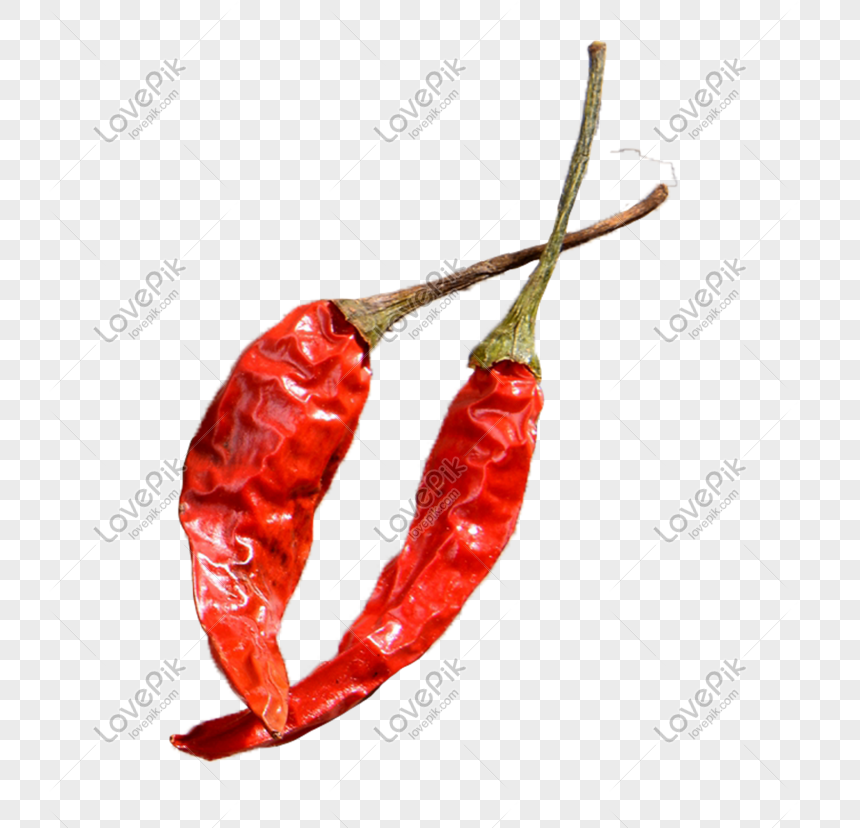 Red Chilli PNG Transparent Background And Clipart Image For Free Download -  Lovepik | 401331100