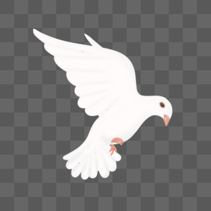 White Dove PNG Images With Transparent Background | Free Download On Lovepik