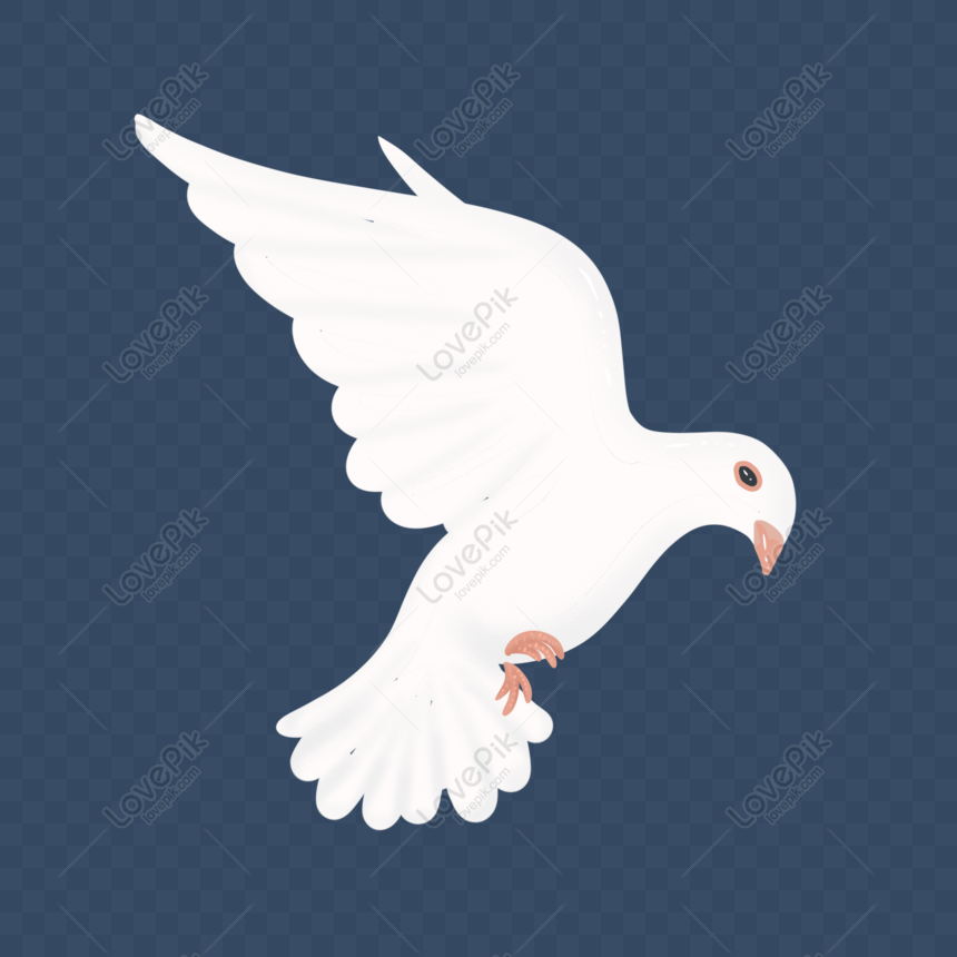 平和の白い鳩 イラスト 白 平和の鳩 平和 フリー素材 透過 Lovepik