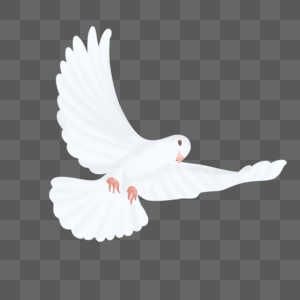 Dove PNG Images With Transparent Background | Free Download On Lovepik