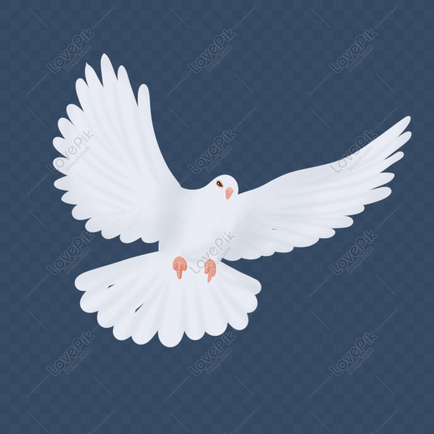 平和の飛ぶ鳩 イラスト 平和 平和の鳩 飛ぶ フリー素材 透過 Lovepik