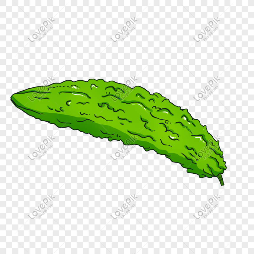 Bitter Gourd Png Image Picture Free Download 401336364 Lovepik Com