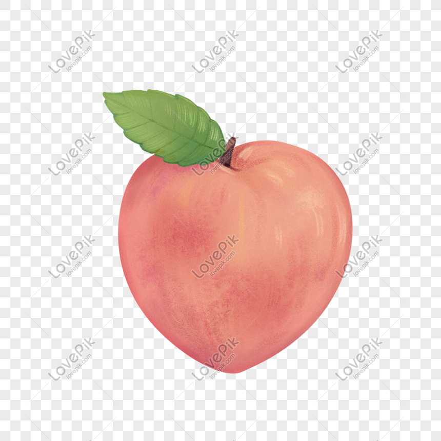Hand Painted Fruit Peach: Hình ảnh này sự kết hợp tinh tế giữa nghệ thuật và hoa quả. Quả đào được vẽ tay với kỹ thuật tuyệt vời và thật tinh tế để tạo nên sự sống động và sinh động cho hình ảnh.